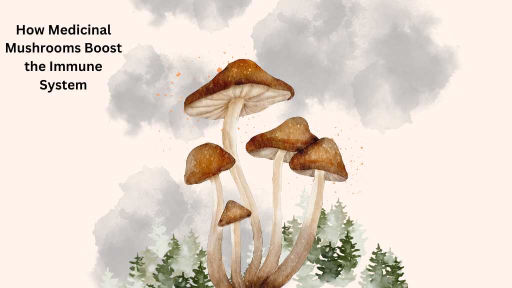 Medicinal Mushrooms for Immune System