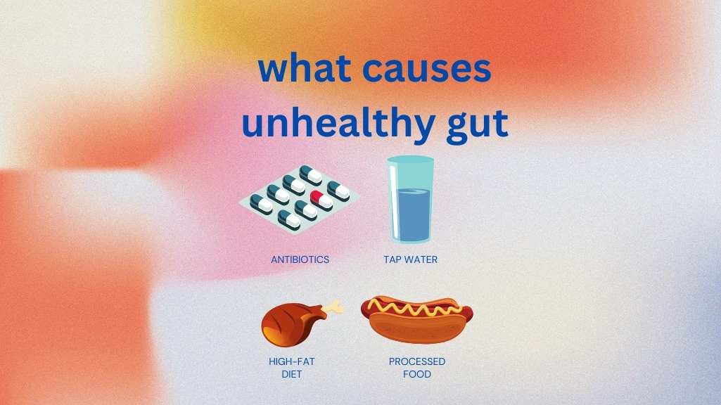 The Property of Antibiotics on Gut Health